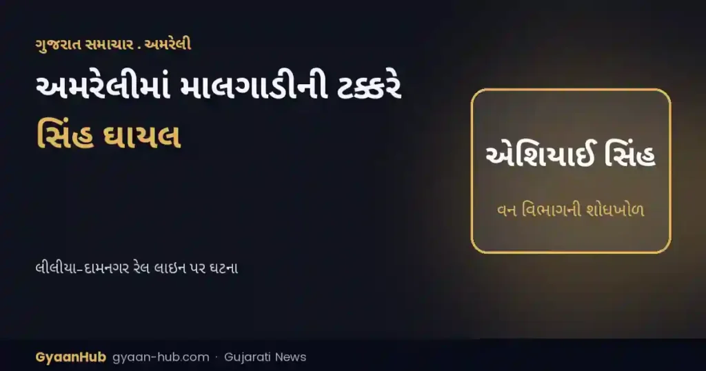 અમરેલીમાં માલગાડીની ટક્કરે સિંહ ઘાયલ થયાની આશંકા: પાટા પર પૂંછડી મળી, વન વિભાગની શોધખોળ